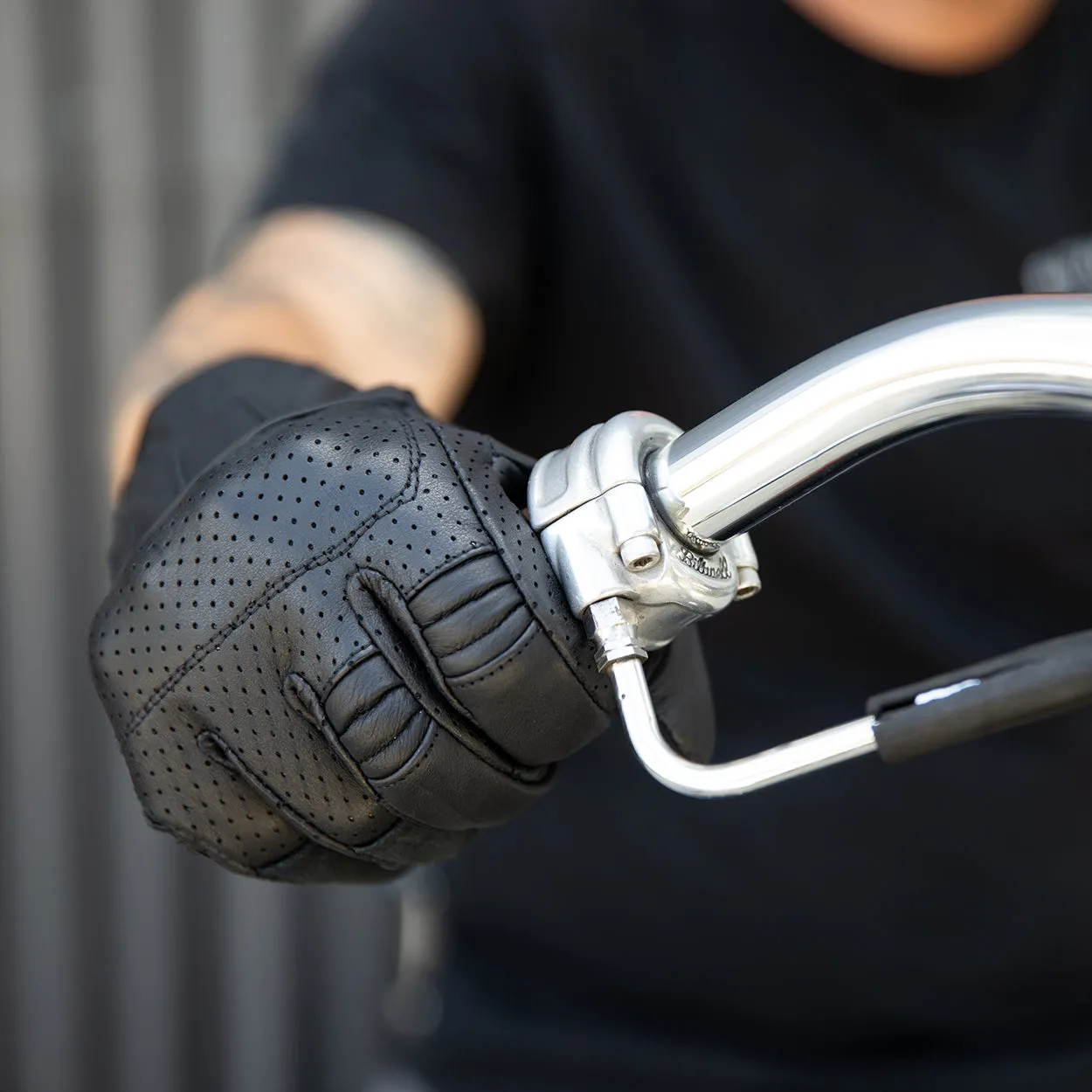 Borrego Gloves - Black/Black